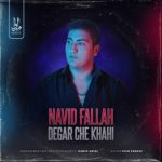 نوید فلاح – دگر چه خواهی